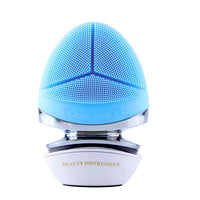 Electric Silicone Facial Brush