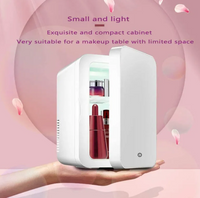 Cosmetic Refrigerator